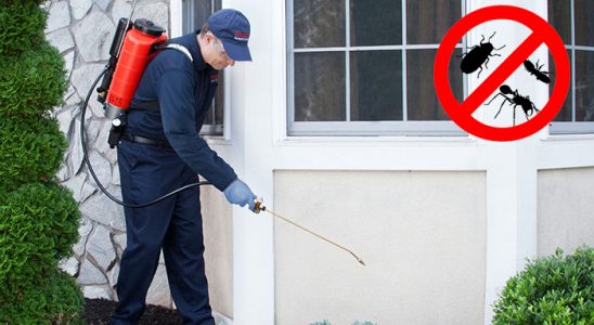 Çiftlikköy Kene İlaçlama böcek ilaçlama ve haşere kontrolü — ilaclama-tr.com